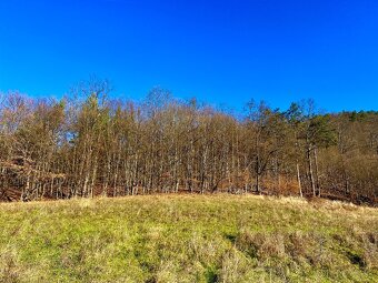 PREDAJ- POZEMOK PRI LESE  - VOZNICA - 5