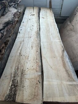 Vysušené javorové fošne, javor horský - 5