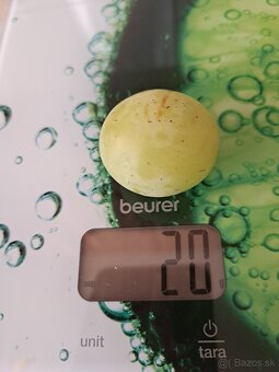 Sadenice viniča - 5