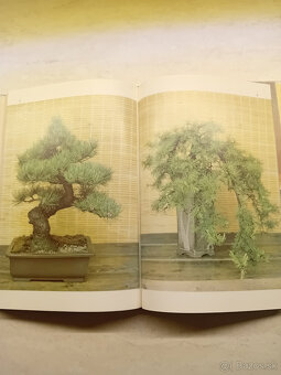 Kniha : BONSAI - 5