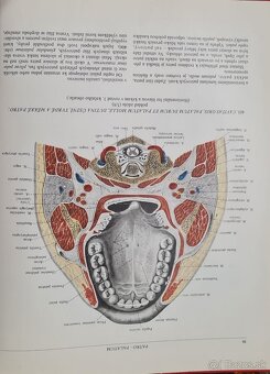 Atlas anatomie člověka I a Ii - 5