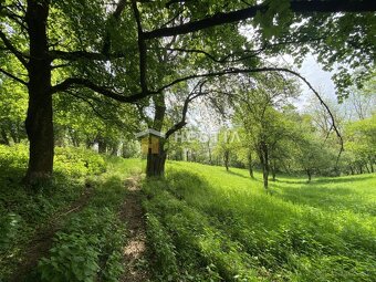 Na predaj pozemok 2284 m2, Prietrž, Dolné Paseky - 5