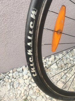 Fixie, singlespeed - 5