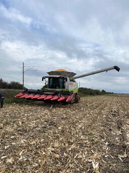 Žaťevné práce Claas Fendt - 5