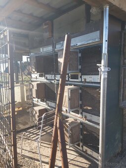 Predám klietky boxy - 5