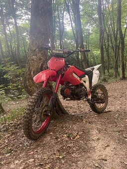 Pitbike 125 - 5