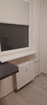 Jednoizbový byt - 5