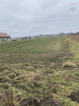 Predaj pozemku na výstavbu vinohradníckeho domu v Skalici - 5