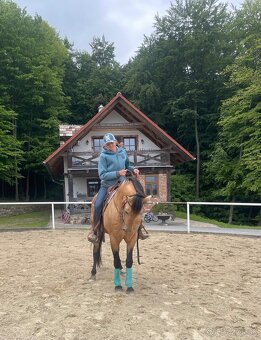 Pripúštanie American Quarter Horse (AQH) - 5