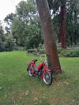 Babetta 210 predaj/výmena za jawa mustang+priplatok - 5