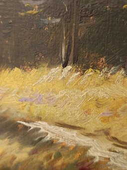 Obraz Vítězslav Fleissig, Vysoké Tatry, olej 31x42 - 5