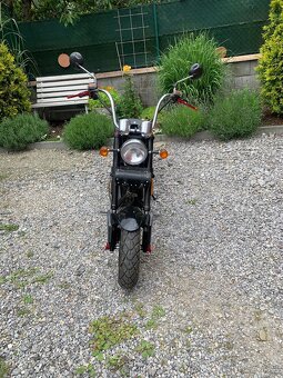 SUPER CHOPPER ECO HIGHWAY 2000W - 5