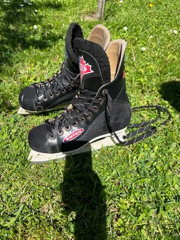 Predám korčule na ľad značky BOTAS, veľkosť 41. - 5