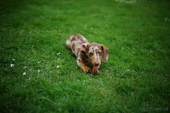 Fotoaparát Sony Alpha A7 II Objektív Sony FE 28–70 mm OSS - 5