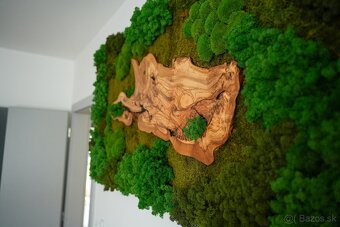 Machovy obraz s olivovym drevom - 5