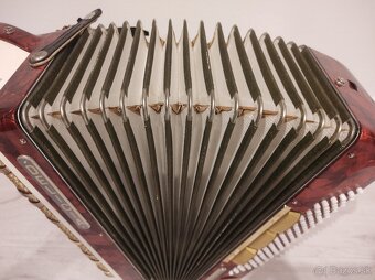 Akordeón Harmonika Delicia melodia VI 96bas - 5