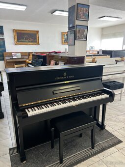 Steinway &Sons se zárukou 2 roky, doprava zdarma. - 5