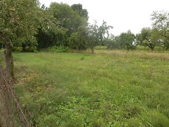 Predaj záhrady v Močaranoch, Michalovce - 5