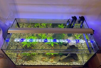 125L Akvákrium + vybavenie - 5