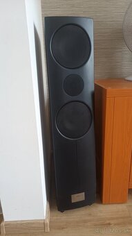 Loewe LS 67 = Linn Kaber - 5