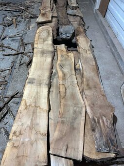 Vysušené orechové dosky, orech, VÝPREDAJ - 5