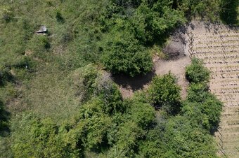 Exkluzívne Vám ponúkame na predaj vinicu s pozemkom - 5