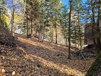 Predam chatu s pozemkom 1978m2 Drienica - 5