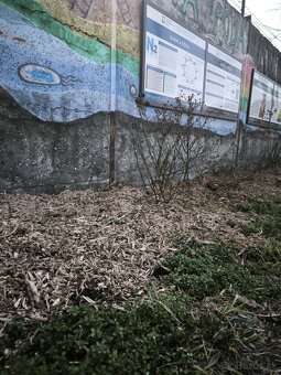 Drevná štiepka - 5