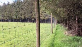 Letná údržba a ploty - 5