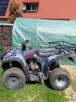 ATV 250 - 5