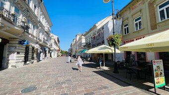Na prenájom obchodný priestor – Mlynská ulica, Košice - 5