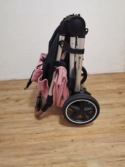 Petite&mars royal - 5