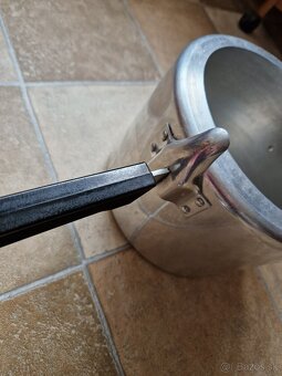 Starsia kuchta, papinak - 5