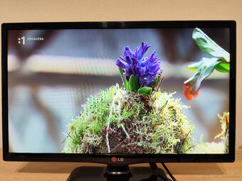 Monitor/TV LG 22MT44D 22" - 5