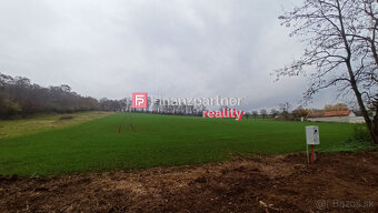 Investičný pozemok, Tajná - Vráble, 3500m2, 19,50 €/m2 - 5