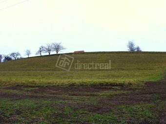 Predaj - orná pôda - Predaj pozemkov v Detve… - 5