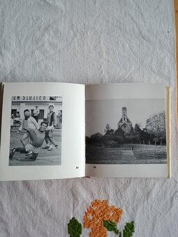 Publikácia Michalovce. - 5