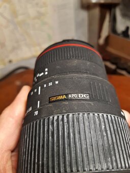 Sigma APO DG Macro 70-300 mm - 5