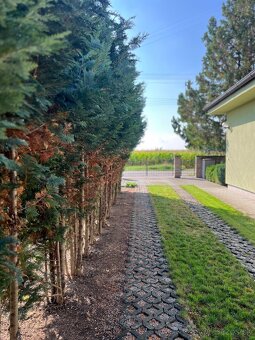 PRENÁJOM- 3-izbový dom - IVANKA PRI NITRE - 5