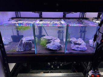 Regály s akváriami, technikou a rybičkami - 5