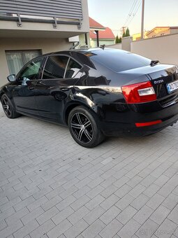 Octavia - 5