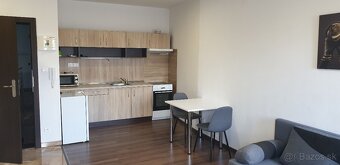 1 izb byt prenajom - 5