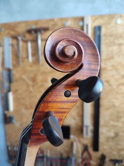 Viola 40,5 - 5
