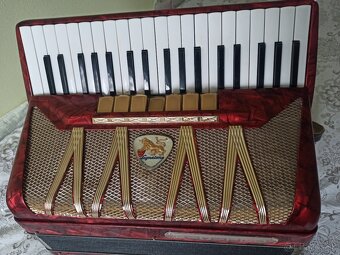 Harmonika Delicia - 5