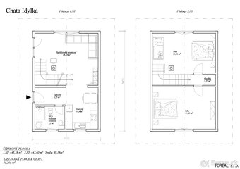 SKELET DREVENICA/ZRUB - 5
