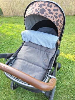 Kočik Joolz Day + Tailor - 5