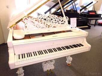 jedinečná ponuka Steinway &Sons - 5