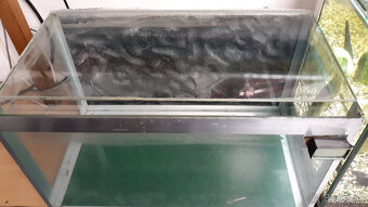 predám akvárium - 5