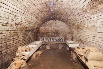 Na predaj pivničný dom, Svätý Peter, 1306 m2 - 5