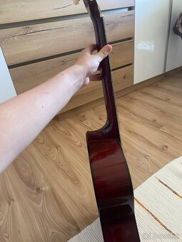 Gitara - 5